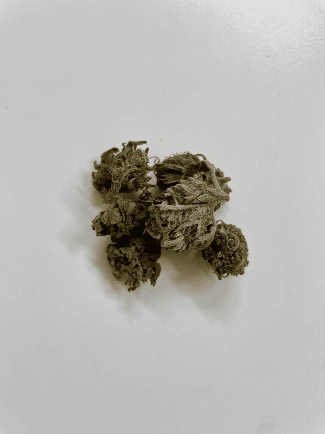 White widow
